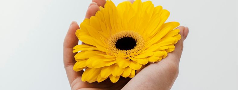 Las flores amarillas representan: