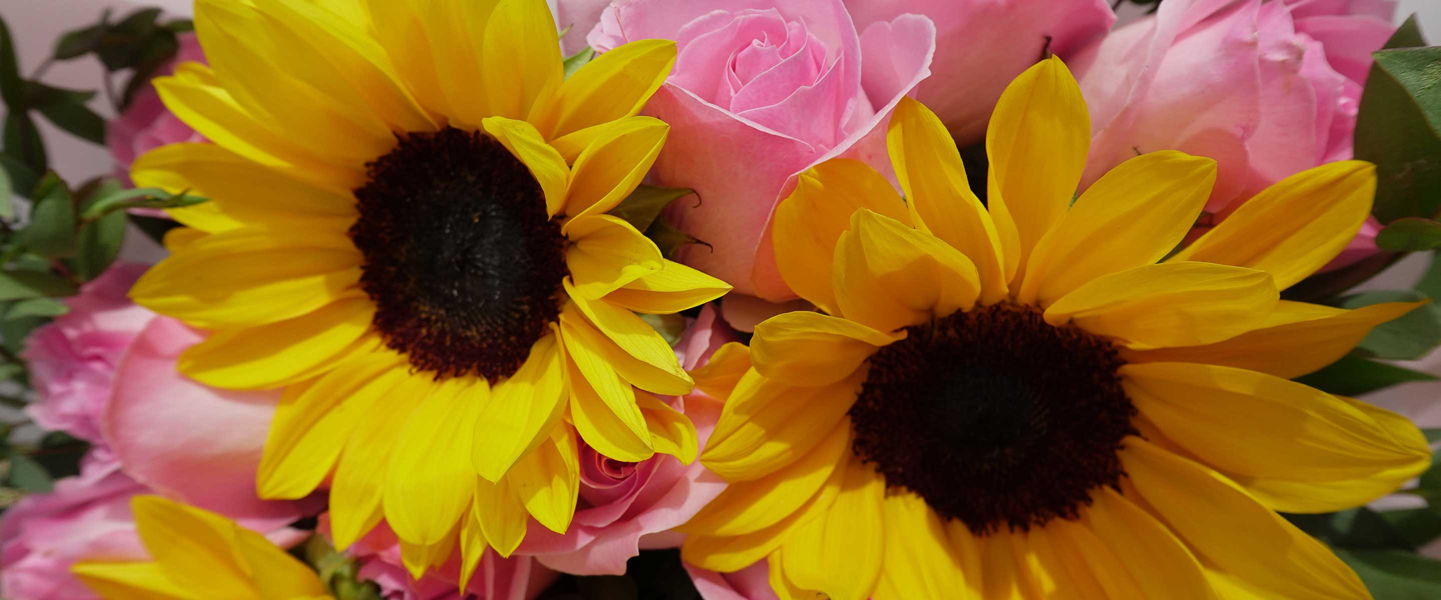 Banner2_ceac35f9-b898-44e4-8ca0-c233ba3fc11b.jpg