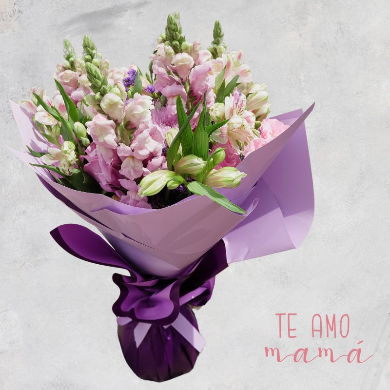 Ramo de Margaritas, Rosas,Clavellina y Snap - Alma
