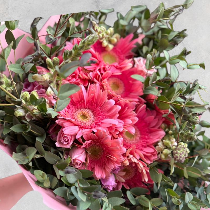 Ramo Gerberas, MiniRosas y Snap - Nayarit