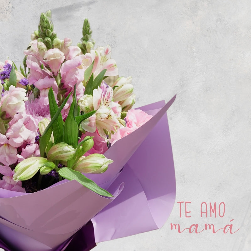 Ramo de Margaritas, Rosas,Clavellina y Snap - Alma