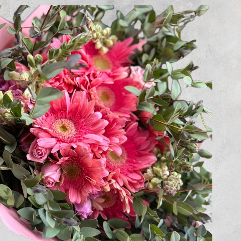 Ramo Gerberas, MiniRosas y Snap - Nayarit