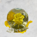 Rosa de Cristal