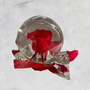 Rosa de Cristal
