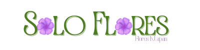 solo-flores-mx