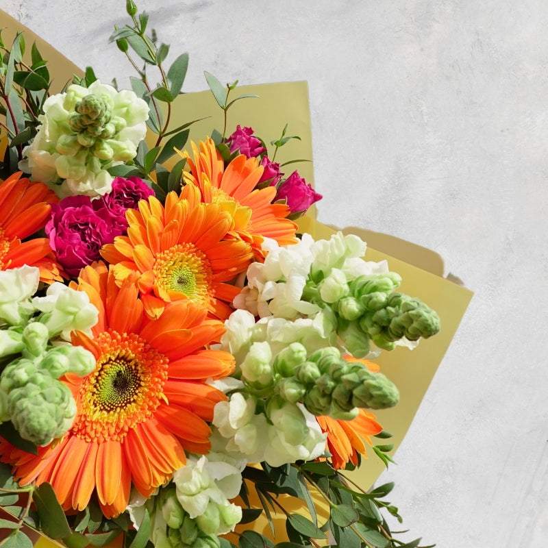 Ramo Gerberas, MiniRosas y Snap - Nayarit