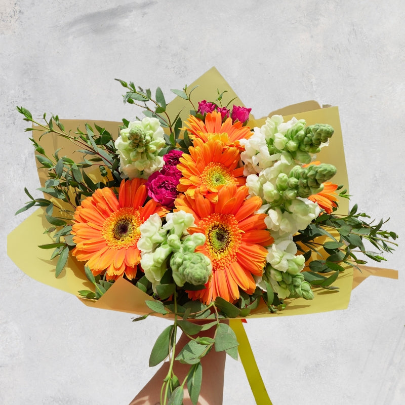 Ramo Gerberas, MiniRosas y Snap - Nayarit
