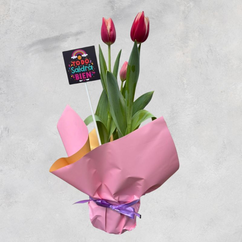 Maceta de Tulipanes- Ámsterdam