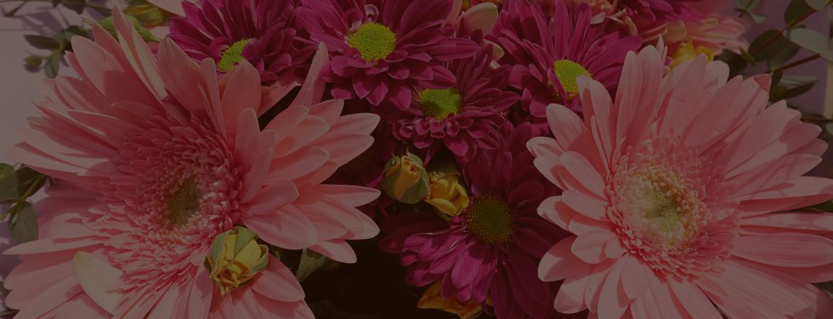 banner.web.sf25_6.jpg